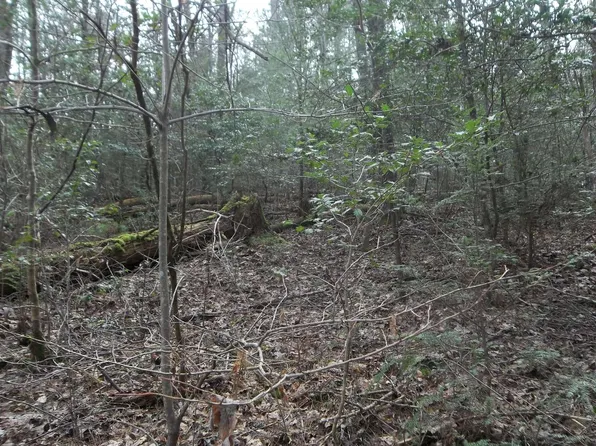 Power Dam Rd, Blue Ridge, GA 30513