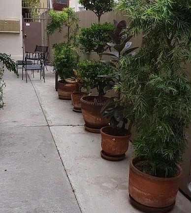 3rd image of 24 Brooks Ave APT 3