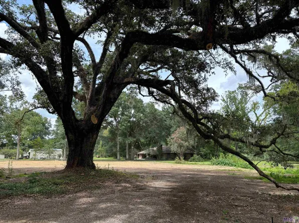 42290 Black Bayou Rd, Gonzales, LA 70737