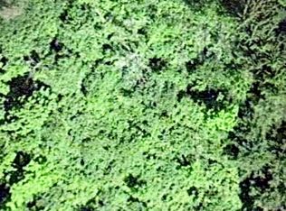 0 Alexander Rd, Delanson, NY 12053