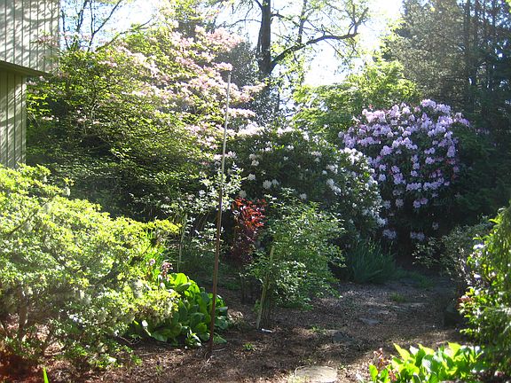 side garden