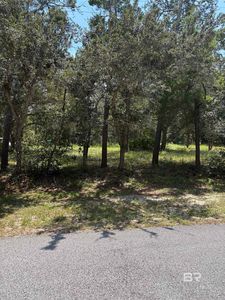 4063 Seville Cir #45, Orange Beach, AL, 36561