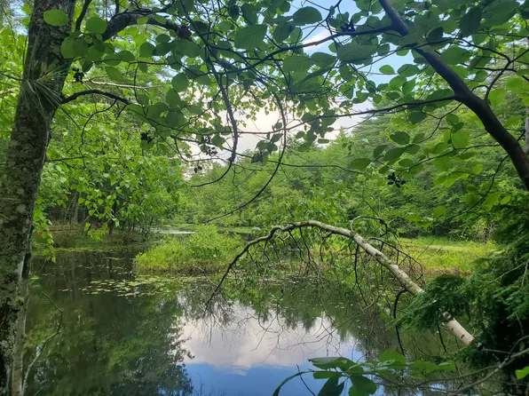 Lot #36 Beaver Brook Road, Limerick, ME 04048