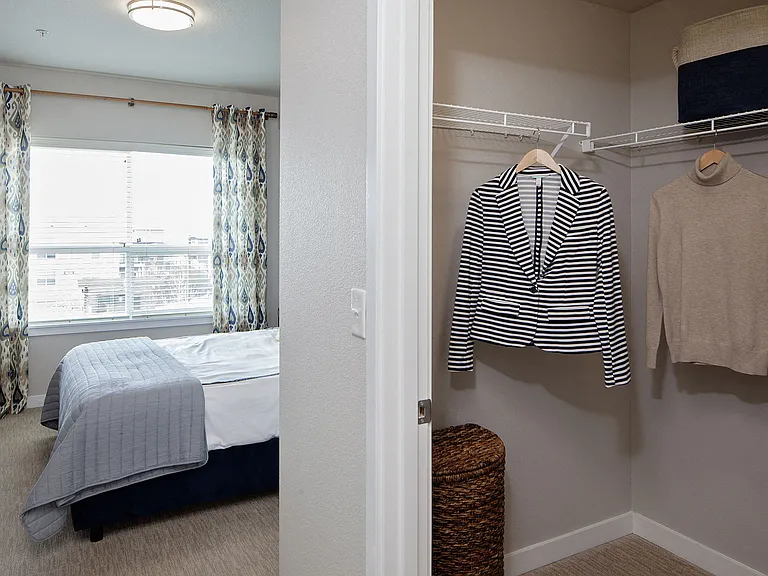 Walk-in closets