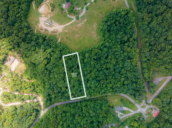 Lake Drive Ln, La Follette, TN 37766