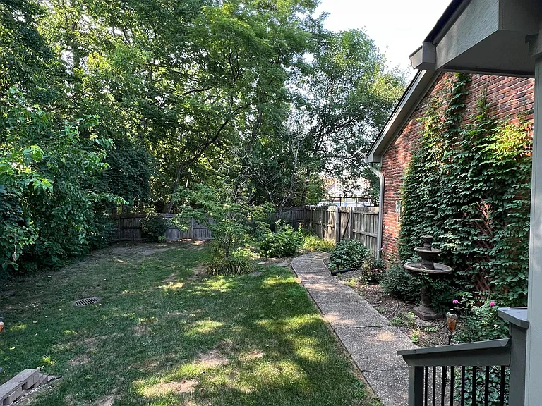 Backyard and patio