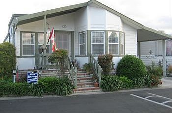 new pics from camera 129.JPG