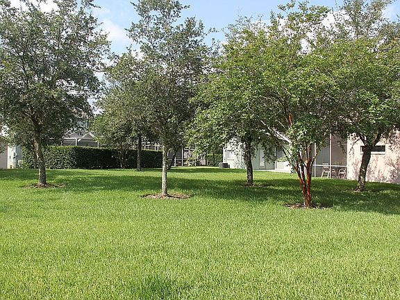 backyard (south side)