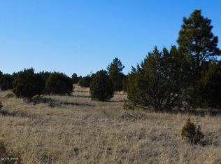 3356 Basin Rd, Overgaard, AZ 85933