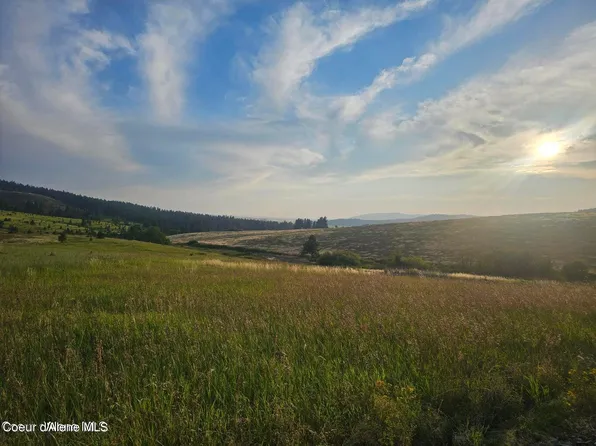 2887 Windfall Pass Rd, Plummer, ID 83851
