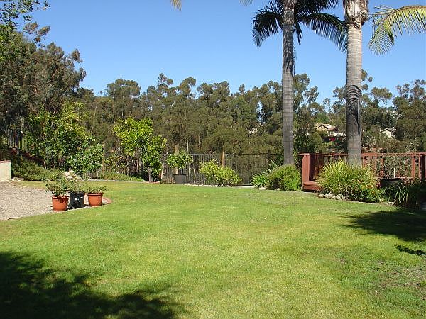 Large backyard