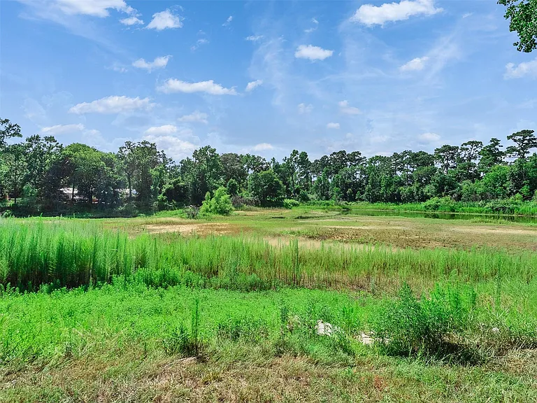 18085 Lake Dr E — Photo 36