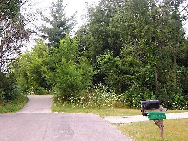 3 bed, 1.5 bath, 1200 sqft, $2,195 — Photo 2