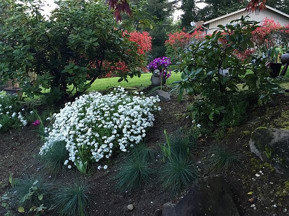 2nd image of 11007 Northstar Way SW