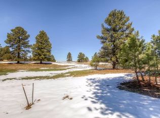 10589 Pinecone Ln, Parker, CO 80134