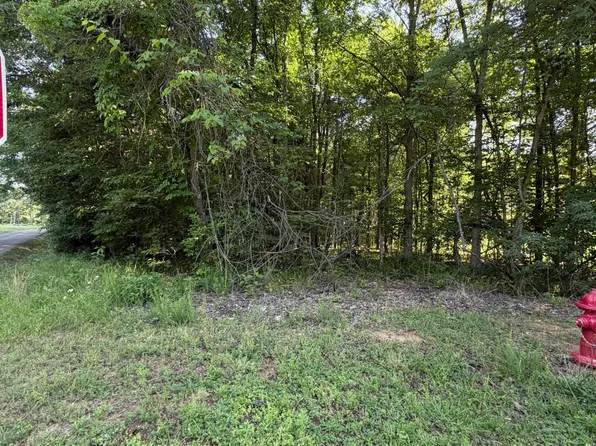LOT 1023 Cove Ln, White Pine, TN 37890