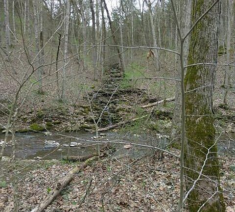 3rd image of 901 Tracy Ln