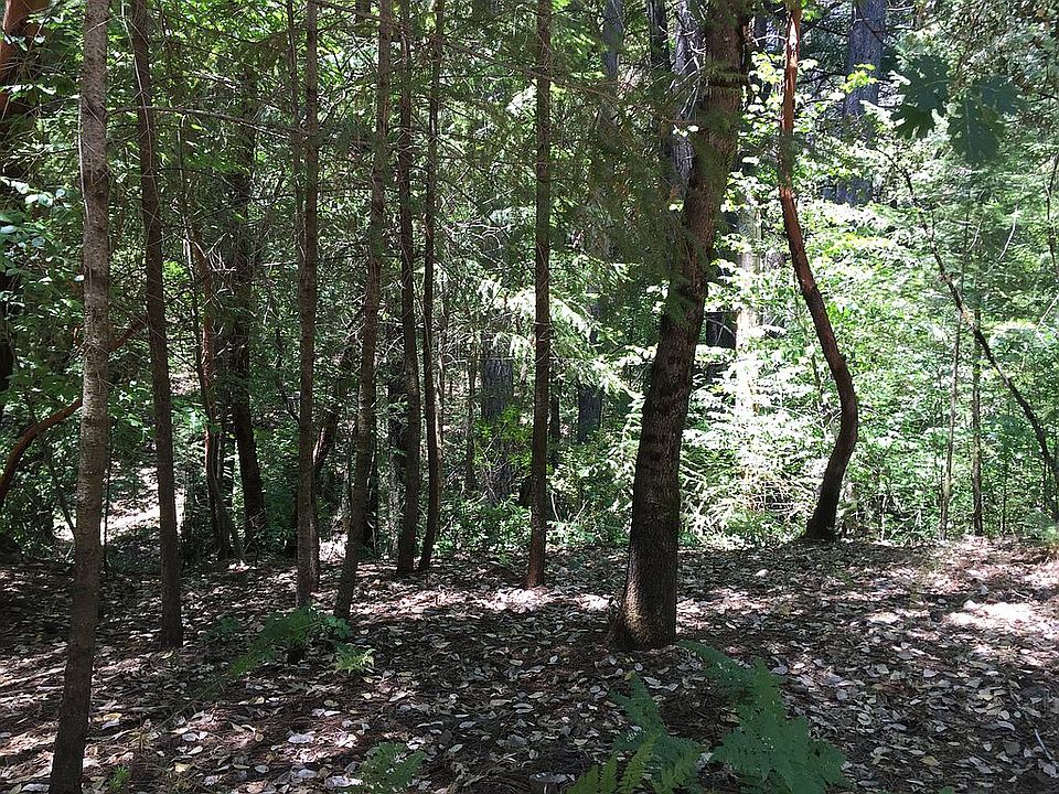 2nd image of 16310 Bottle Rock Rd