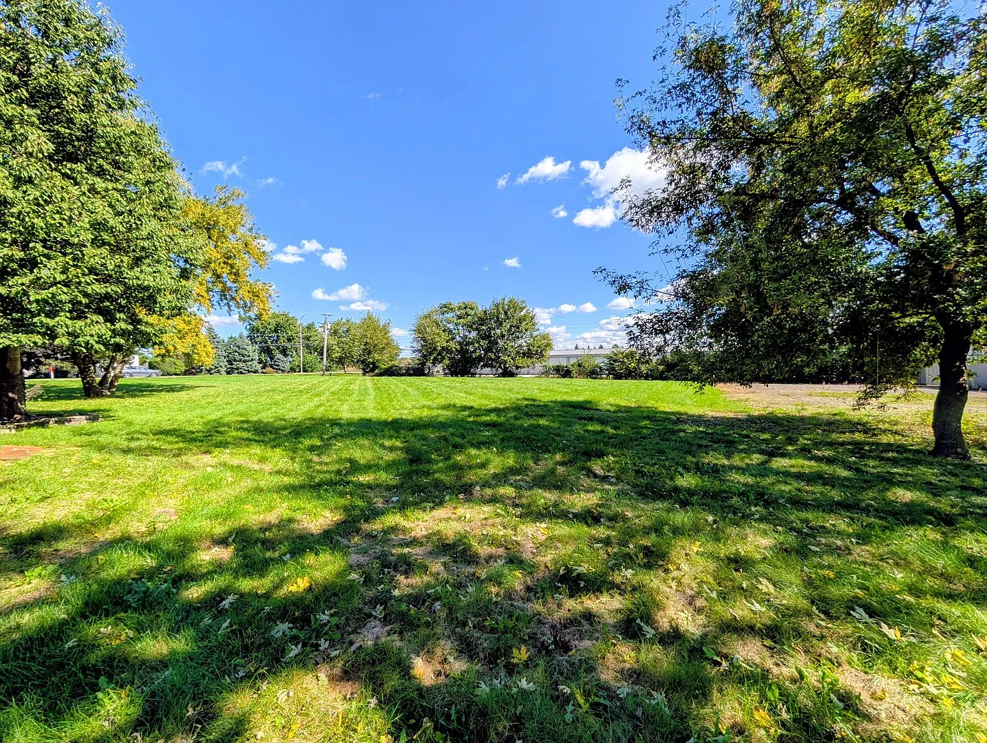 4 bed, 1592 sqft, $4,000 — Photo 3