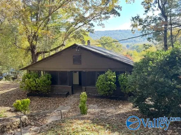 76 High Ave, Valley Head, AL 35989