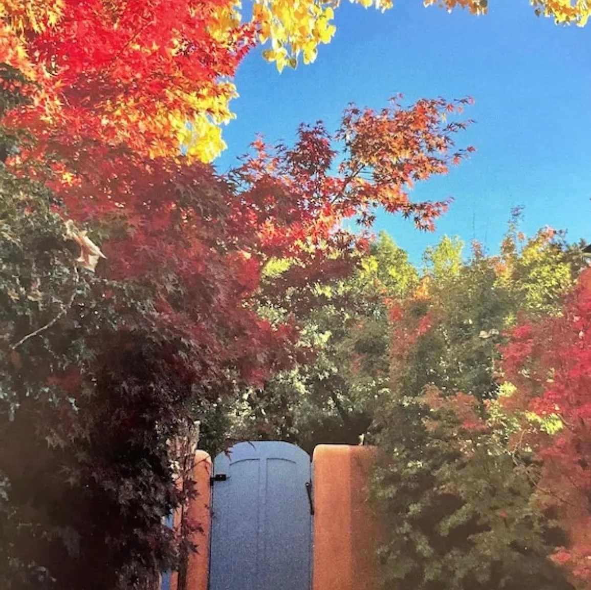 1005 Camino San Acacio — Photo 3