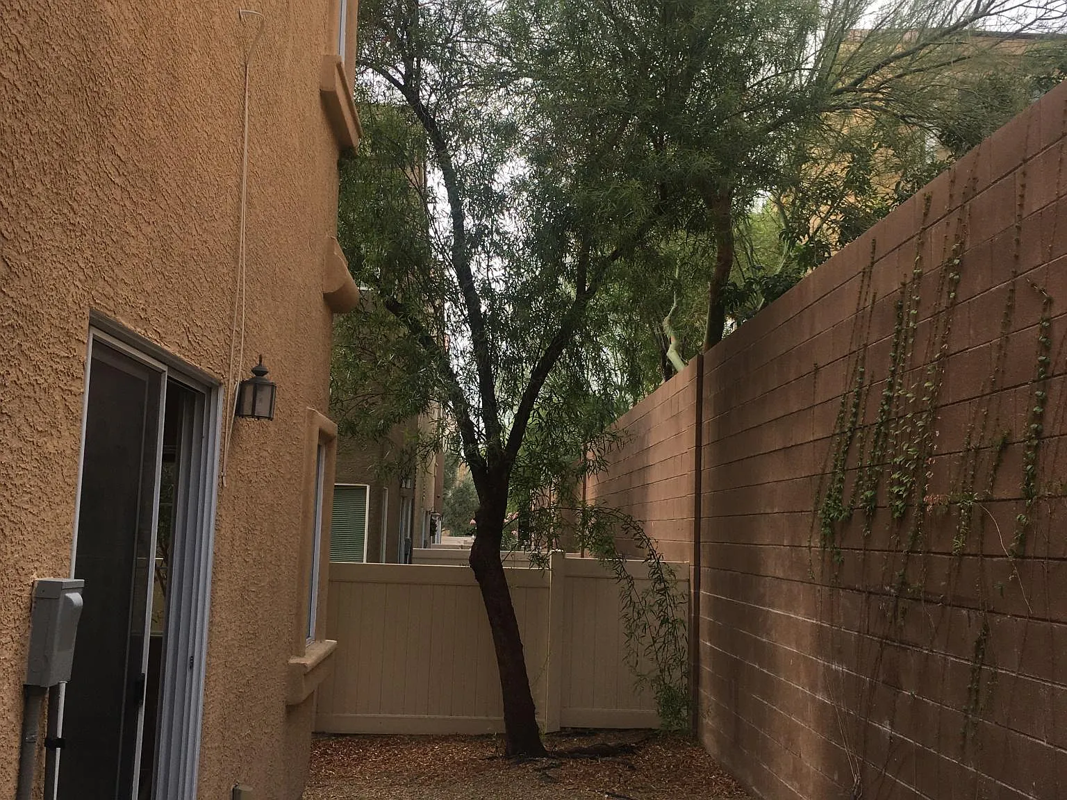 9463 Oro Bullion St — Photo 3