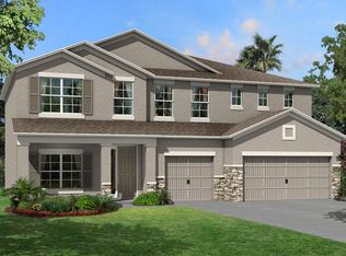 10712 Breaking Rocks Dr, Tampa, FL 33647