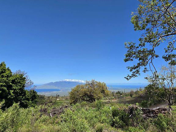 3rd image of 487 Cross Rd