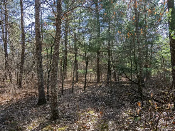 LOT 3 Morros Mile Rd, Necedah, WI 54646