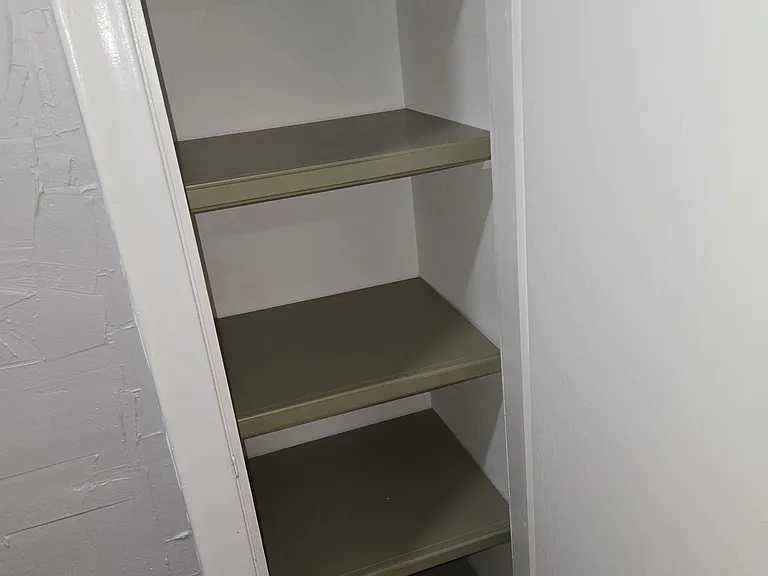 Linen Closet in Hall