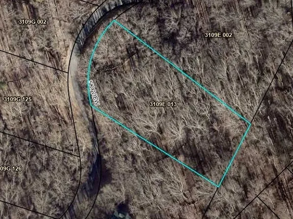0 Skyview Drive, Ellijay, GA 30536