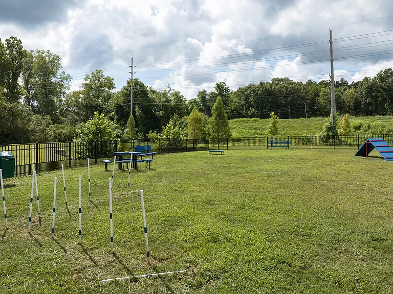 Dog Park