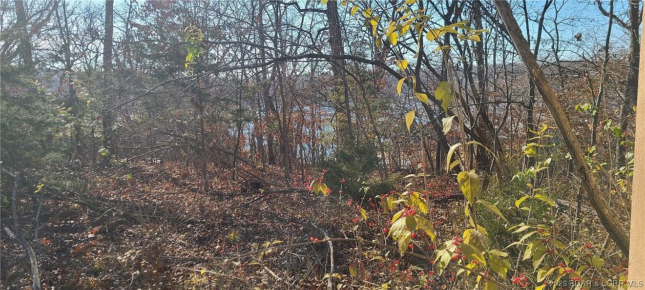 27538 Golden Beach Rd, MO 65011 Zillow