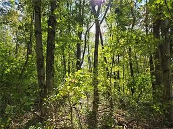 LOT 24 Dally Rd, Coal Center, PA 15423