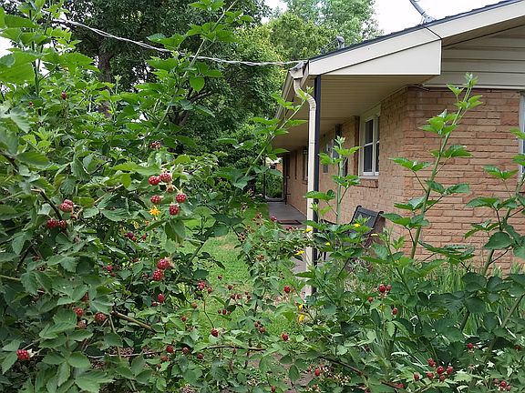 back of home & Raspberries!