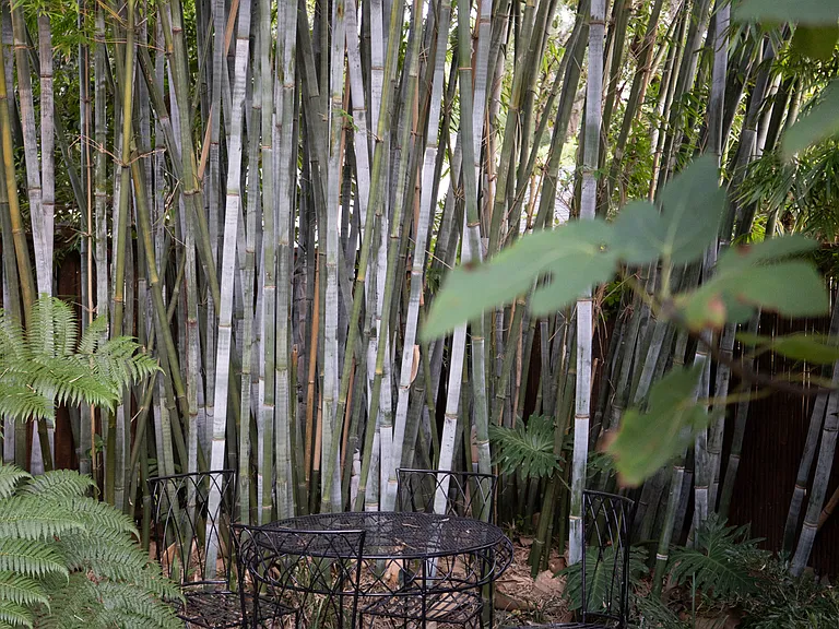 secret garden dining nook