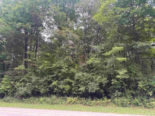 4300 Brott Rd, North Street, MI 48049