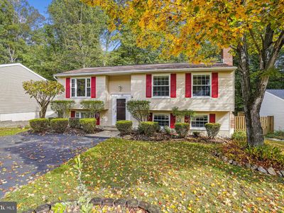 8460 Yellow Leaf Ct, Springfield, VA, 22153