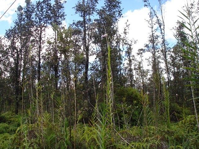 2nd image of Io Kea Road Rd #4-lot 3499