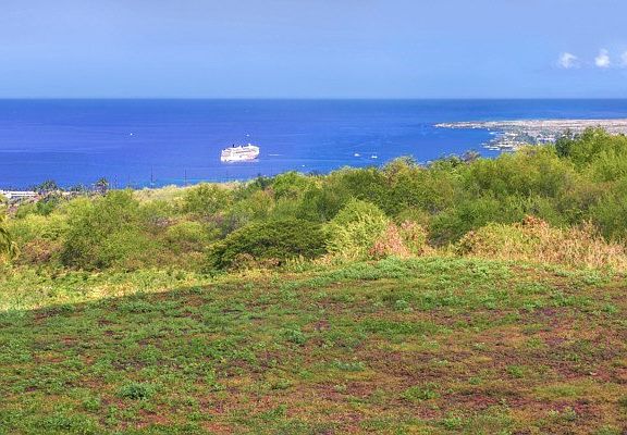 2nd image of 76-4319 Kekuanaoa Pl Lot 2