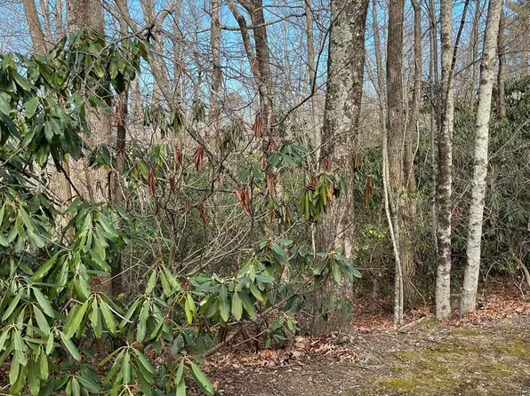 Cliff Ridge Dr, Cleveland, SC 29635