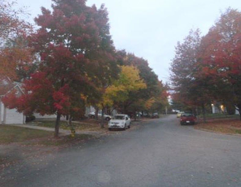 2nd image of 344 Bradford Colony Dr