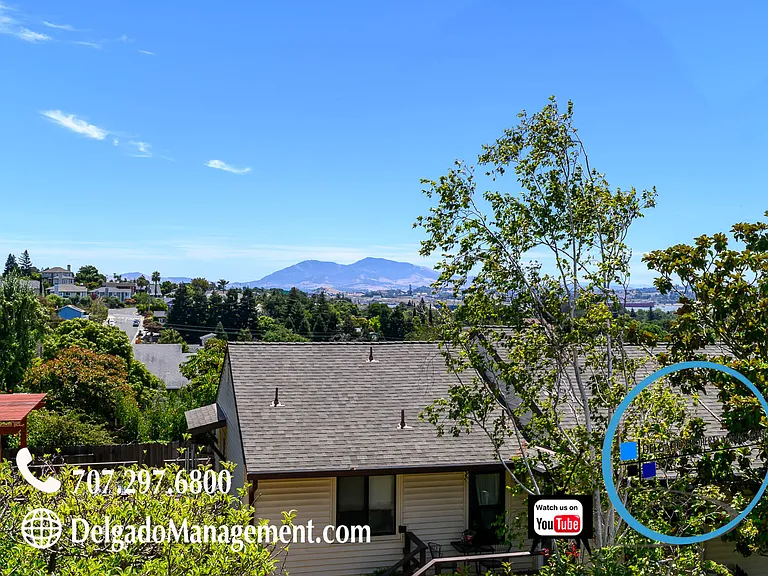 129 Harbor Vista Ct — Photo 48