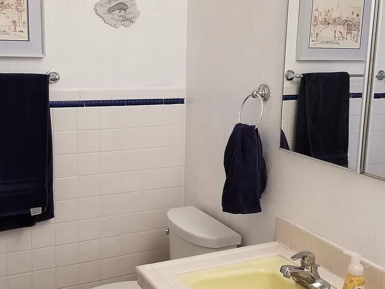 Hall Bathroom