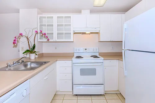 Clearwater and Star Apartments Photo 1