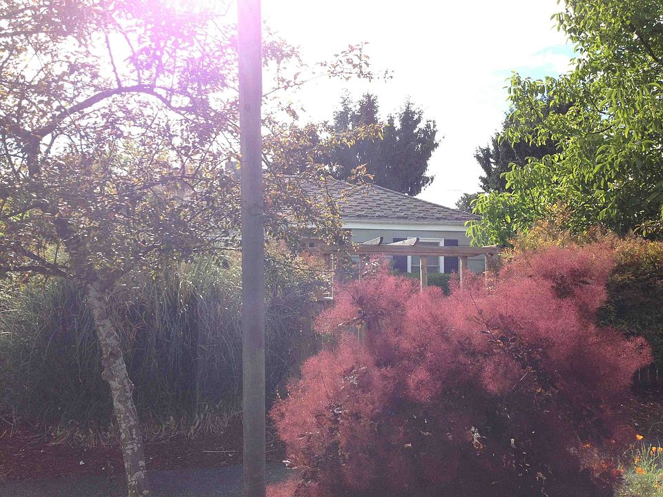 2nd image of 8203 21st Ave NE