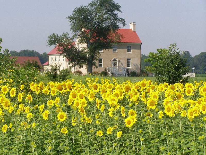 Marblehead Plantation c.1803