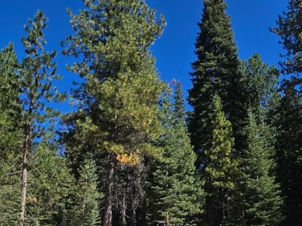 Lakeview Dr Unit 4, McCloud, CA 96057