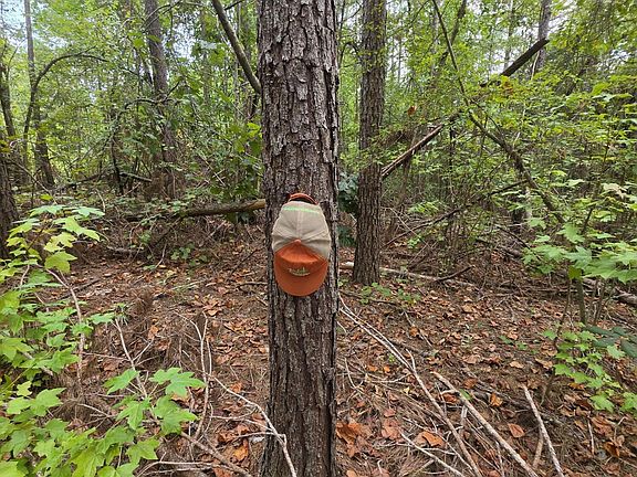 2nd image of 80/ACRE S Webster