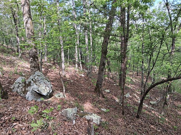 5th image of 0 SE 180th Rd Tract 1